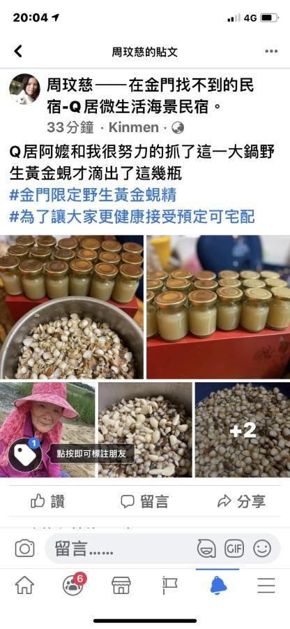 Qg Life 城中館 寵物親子釣魚人民宿 Jincheng Eksteriør billede