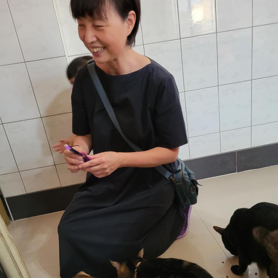 Qg Life 城中館 寵物親子釣魚人民宿 Jincheng Eksteriør billede