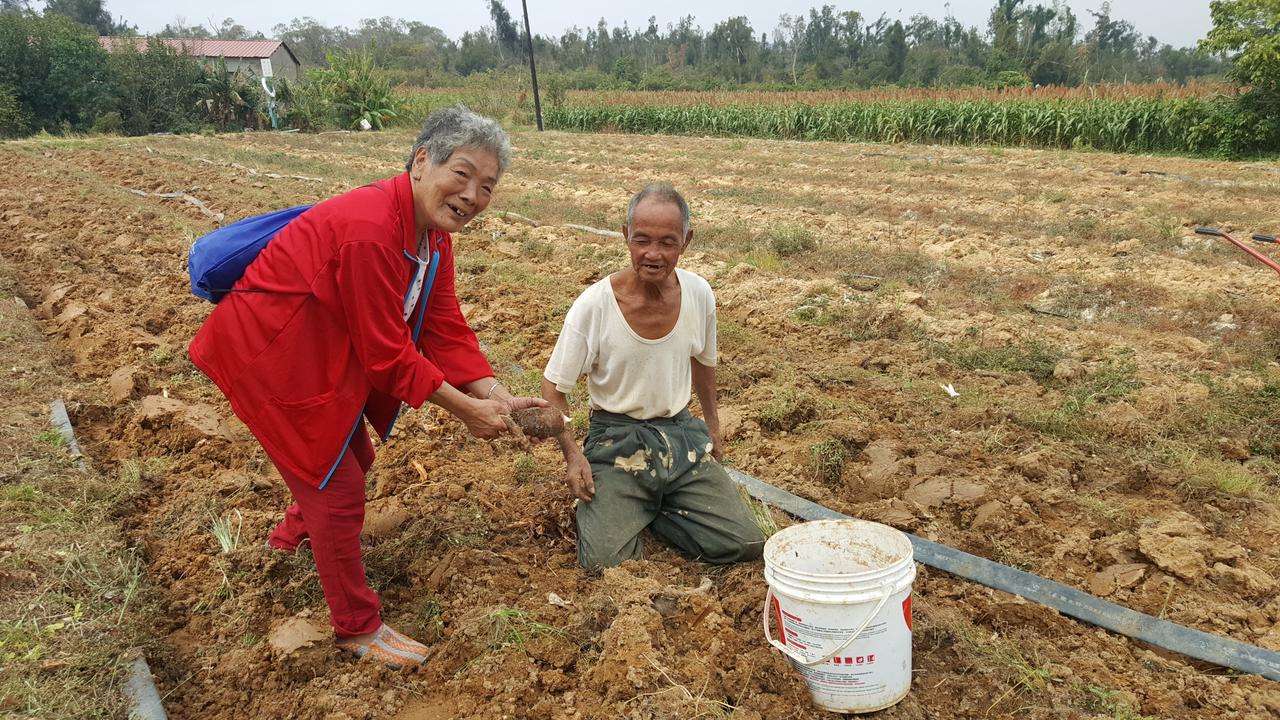 Qg Life 城中館 寵物親子釣魚人民宿 Jincheng Eksteriør billede