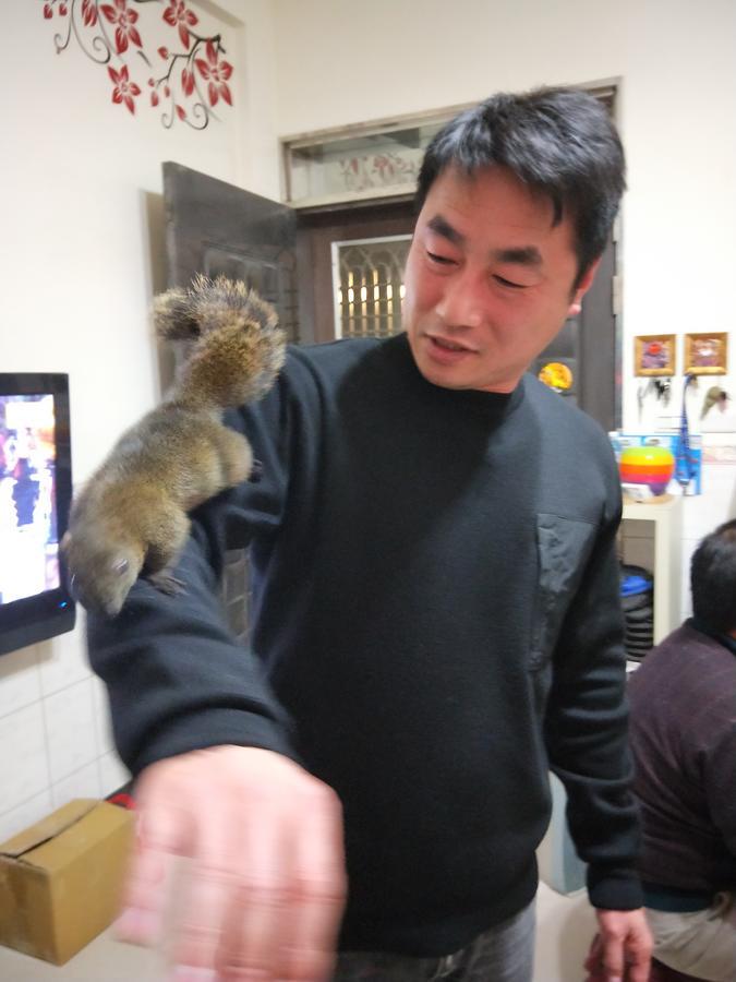 Qg Life 城中館 寵物親子釣魚人民宿 Jincheng Eksteriør billede